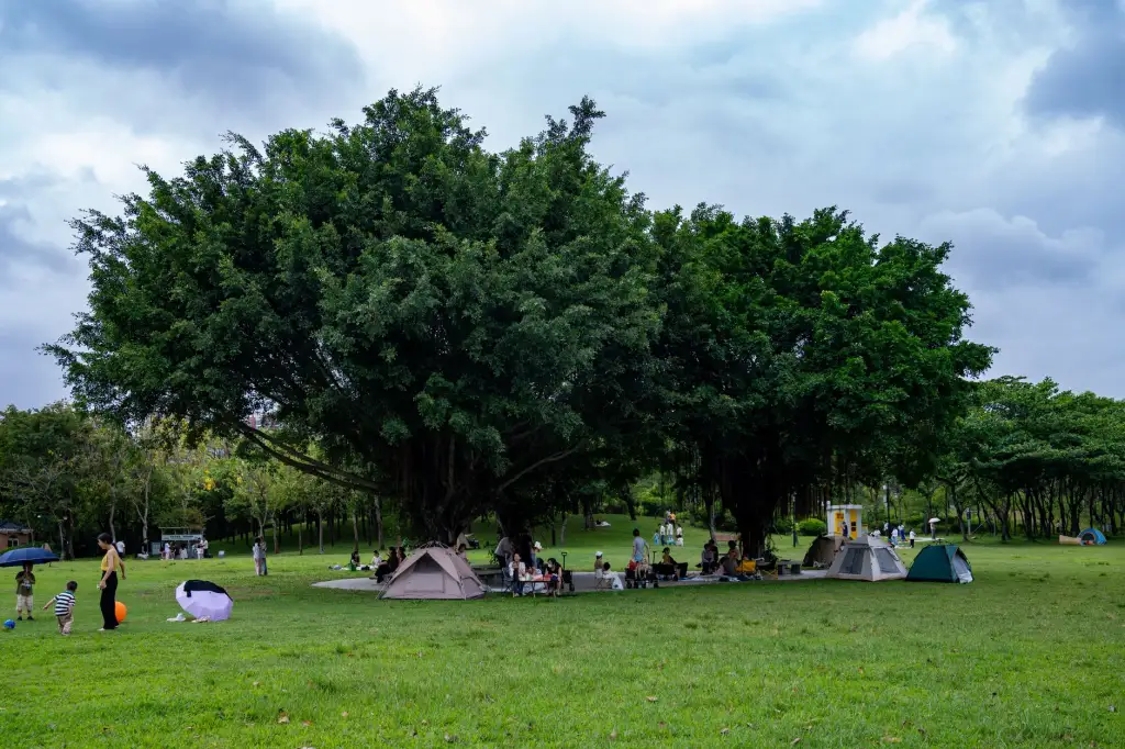 呜哇科技智能安防系统在公寓场景中的应用优势与配置建议