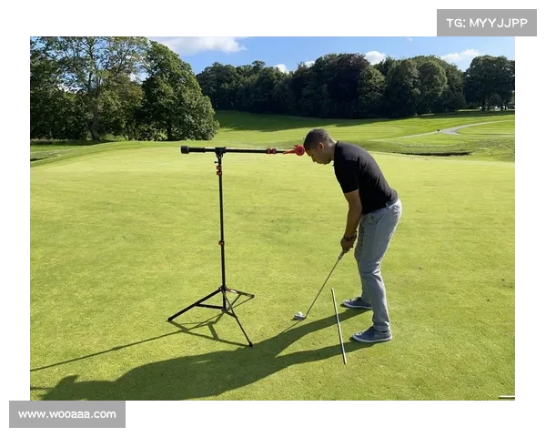 高尔夫爱好者必看下场技巧与注意事项，助你提高球技尽享绿茵场魅力