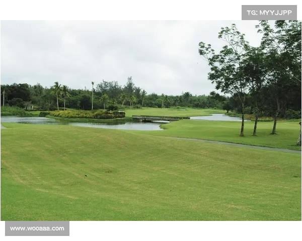 高尔夫爱好者必看下场技巧与注意事项，助你提高球技尽享绿茵场魅力